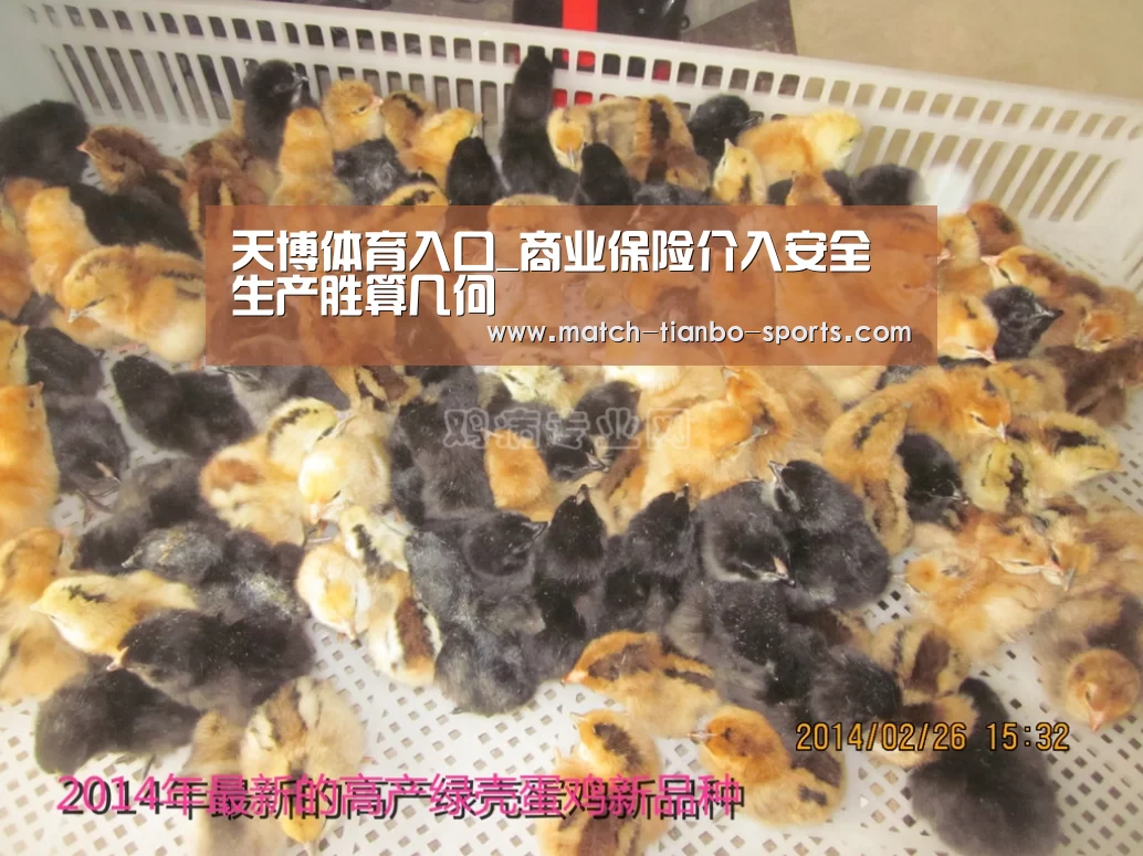 天博体育入口_商业保险介入安全生产胜算几何(图2) 天博足球
