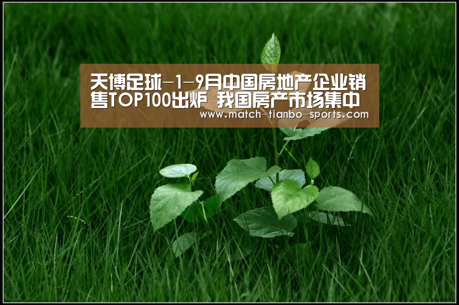 天博体育