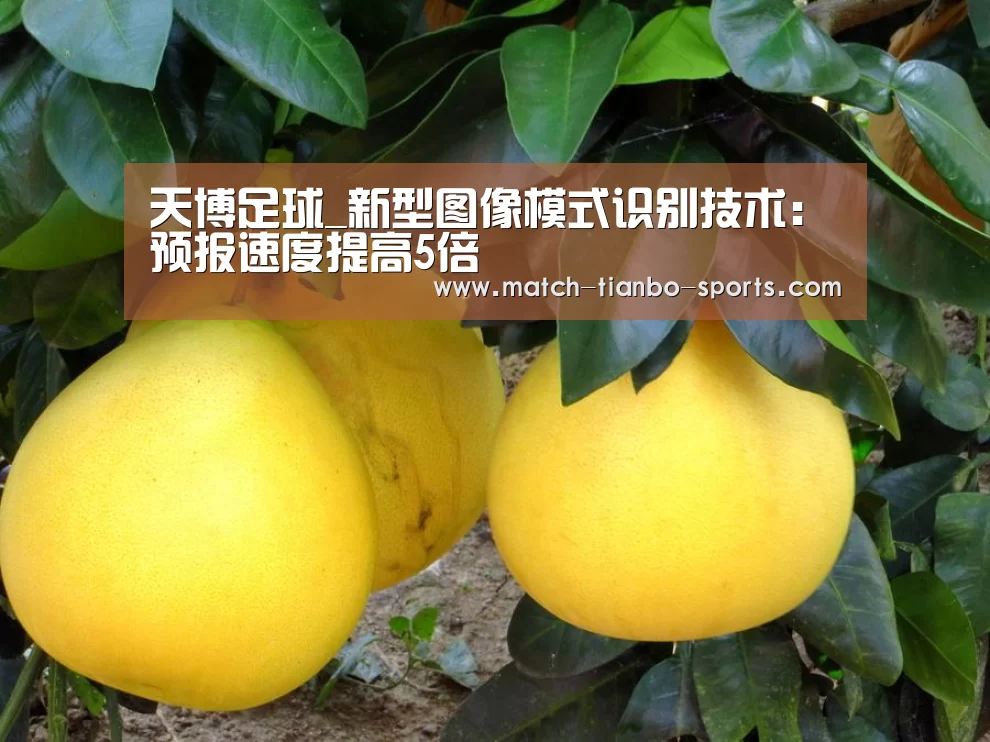 天博足球_新型图像模式识别技术:预报速度提高5倍(图2) 天博足球