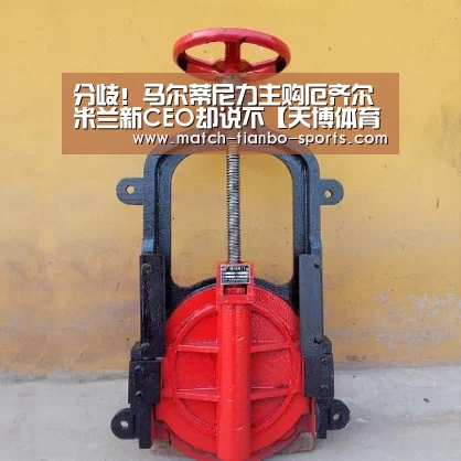 分歧!马尔蒂尼力主购厄齐尔 米兰新CEO却说不【天博体育】(图4) 天博体育