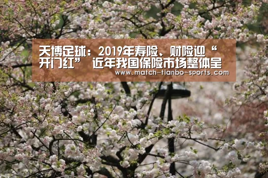 天博体育入口